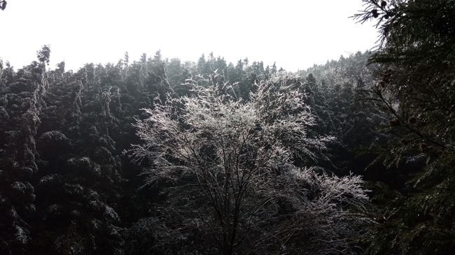 影像茶陵云阳山雪景