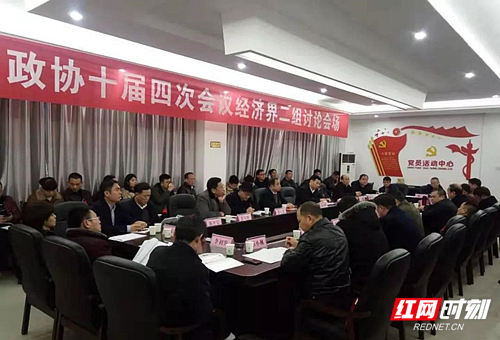 吴乐胜,段鸣,肖荣望参加经济界二组讨论.