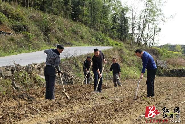 解放岩扶贫精准有道 贫困户脱贫底气十足_本地新闻_泸溪新闻网