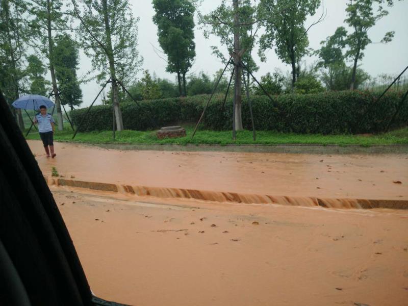 昨日突遇暴雨 市城管局迅速启动应急预案