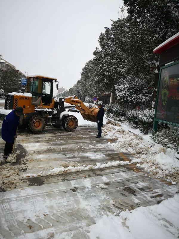 流沙河镇干部、党员昼夜奋战一线抗击冰雪