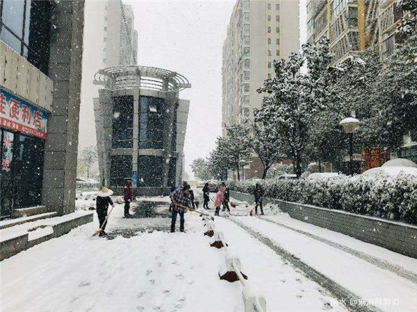 中水一品小区联合党支部组织铲雪除冰志愿活动