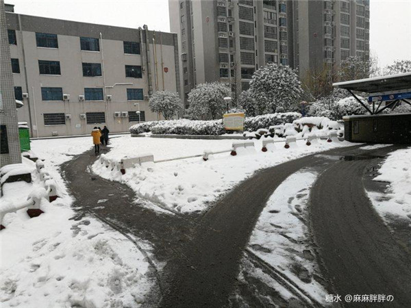 中水一品小区联合党支部组织铲雪除冰志愿活动