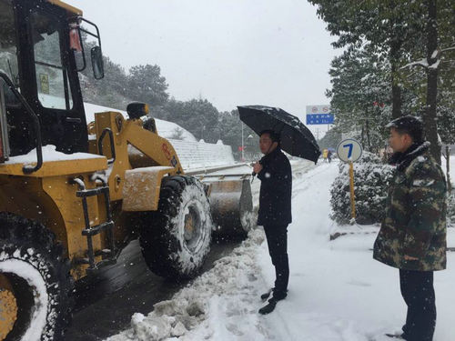 大成桥镇全力抗击冰雪保民生