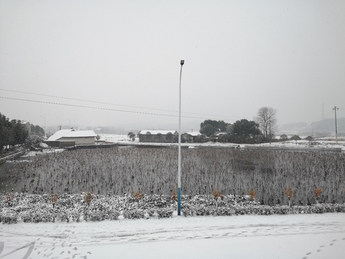 营击大雪 | 党旗飘扬,抗冰保畅