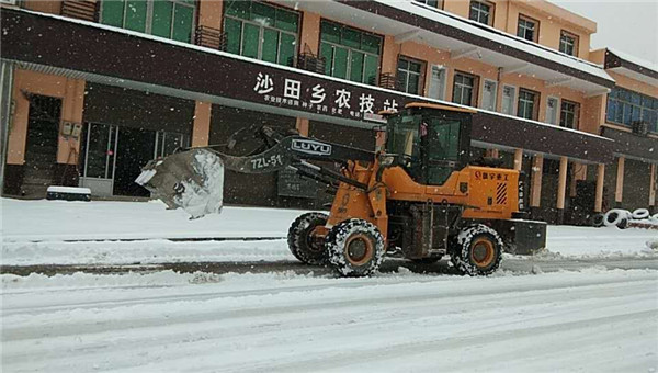 全市普降大雪,沙田乡力保居民安全出行!