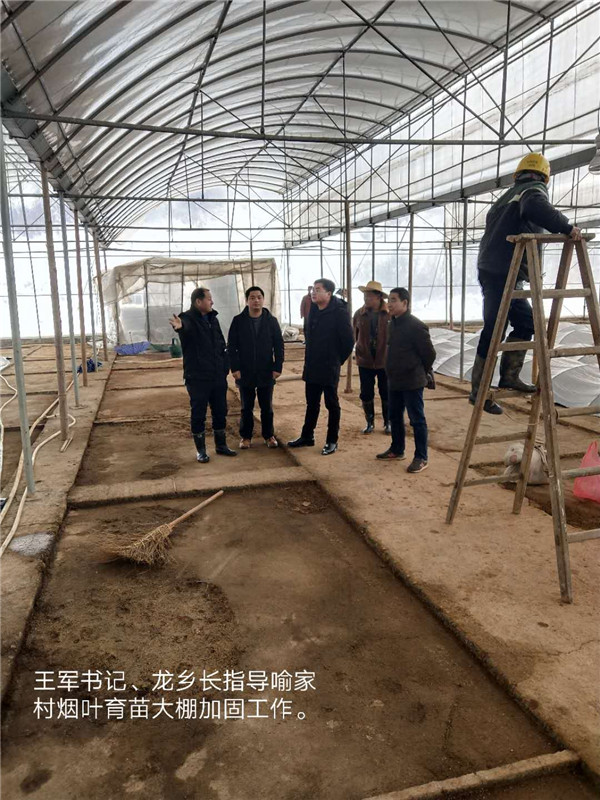 喻家坳乡:紧急部署，抗雪防冻保平安