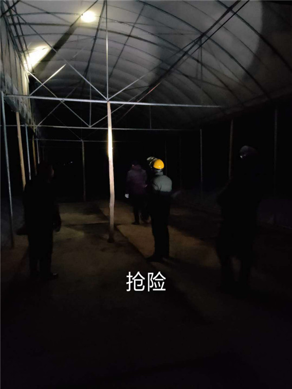 喻家坳乡:紧急部署，抗雪防冻保平安