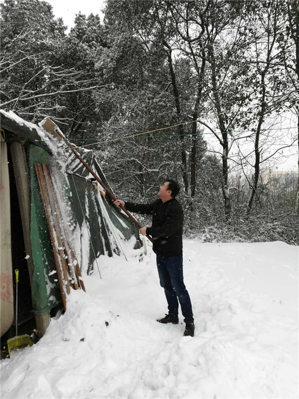 城郊街道严阵以待抗冰雪