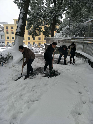 市机关事务管理局200多人除冰雪