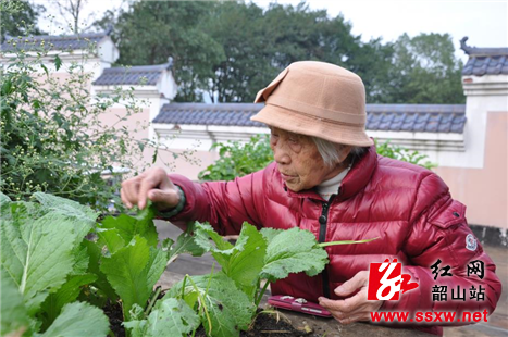 汤瑞仁:人生美丽应如树