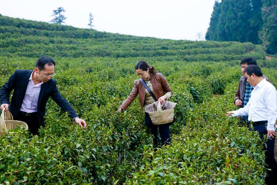 单肩斜挎包_单手肩上投篮教案范文_单动投篮和双动投篮