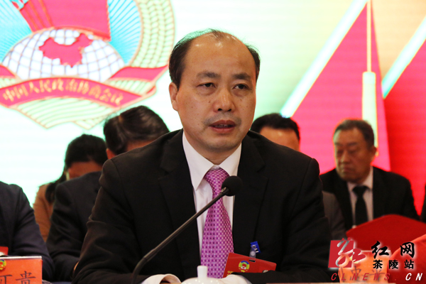 政协茶陵县第九届委员会第二次会议:举行预备会议