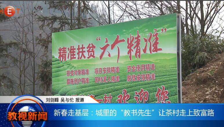 新春走基层：城里的“教书先生”让茶村走上致富路