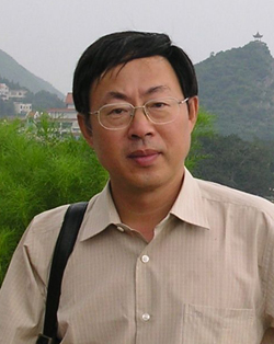 石鸥