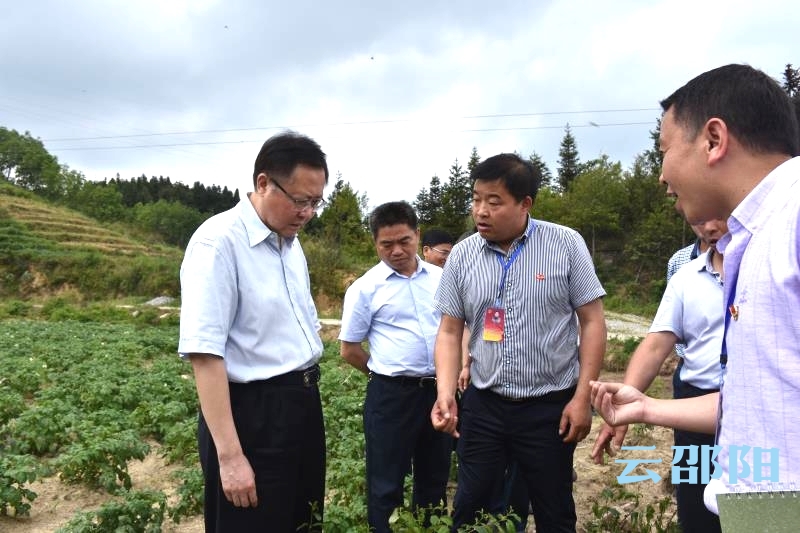 微信图片_20180520161044_看图王.jpg