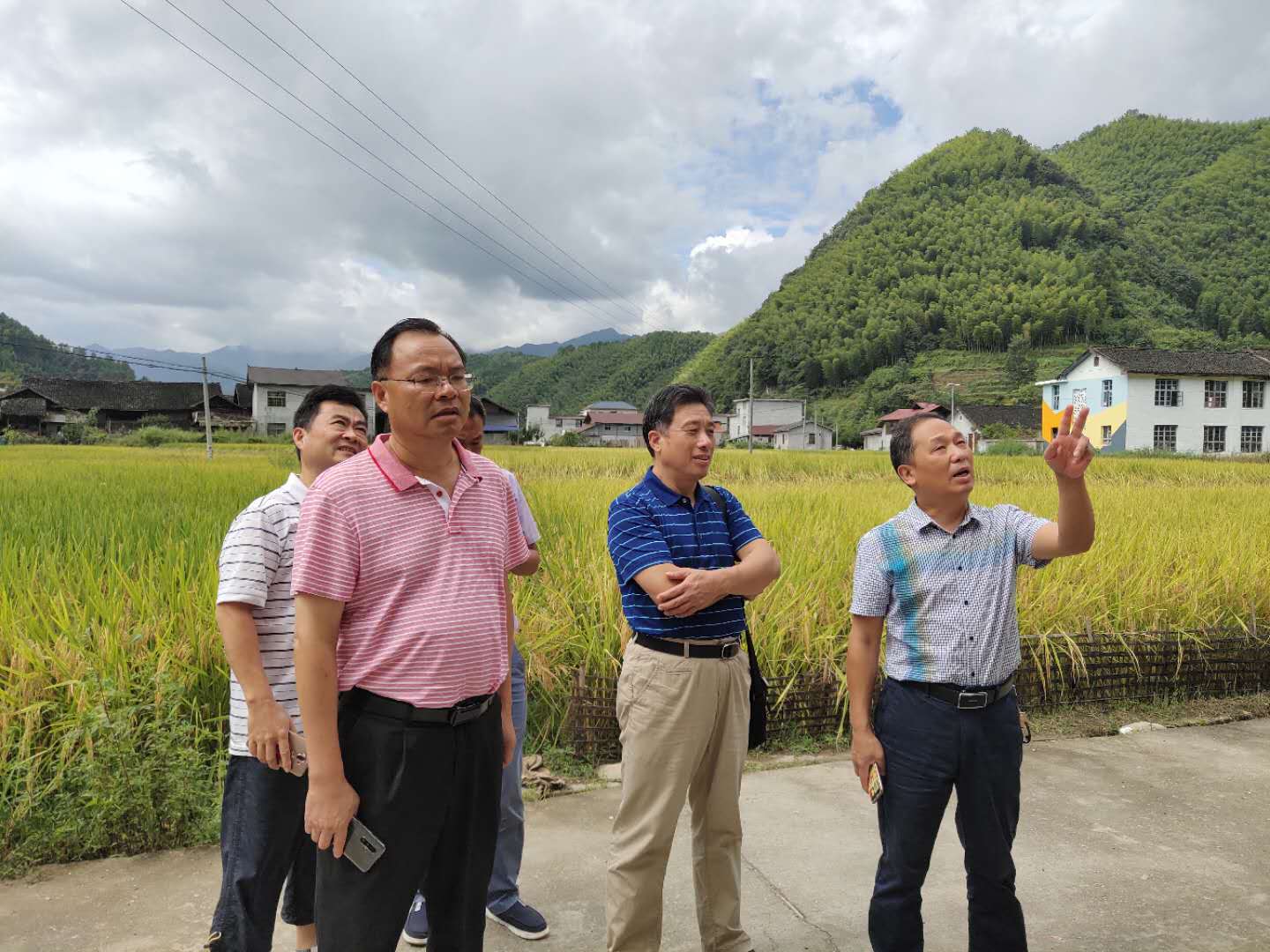 城步.jpg 城步.jpg