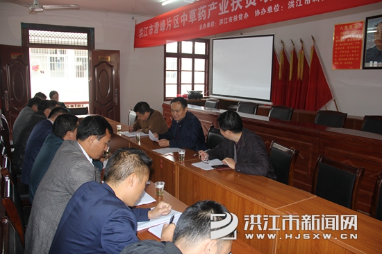 谢景良检查指导雪峰镇安全生产工作_本地时政_洪江市新闻网