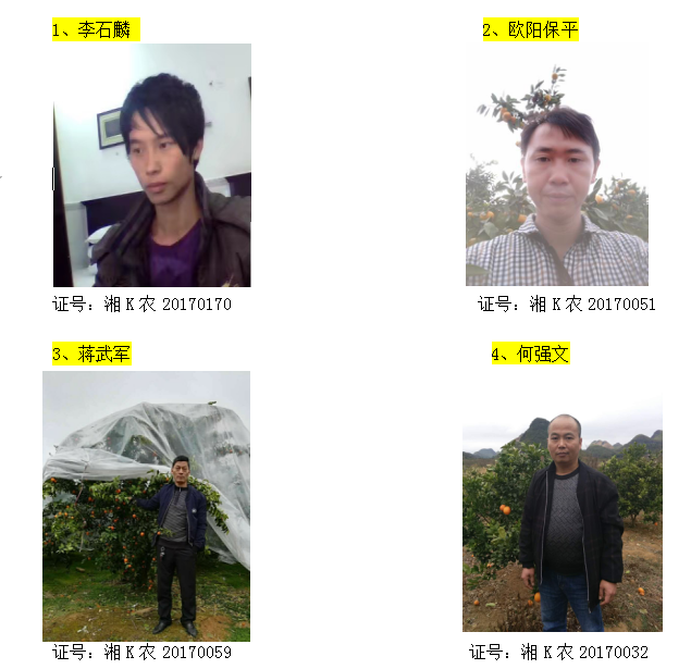 回龙圩管理区柑橘经纪人名录公示