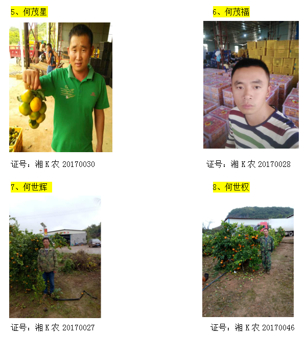 回龙圩管理区柑橘经纪人名录公示