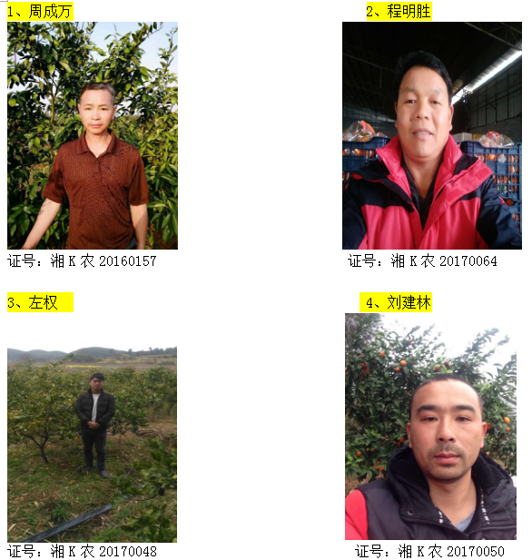 回龙圩管理区柑橘经纪人名录公示