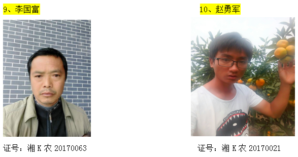 回龙圩管理区柑橘经纪人名录公示