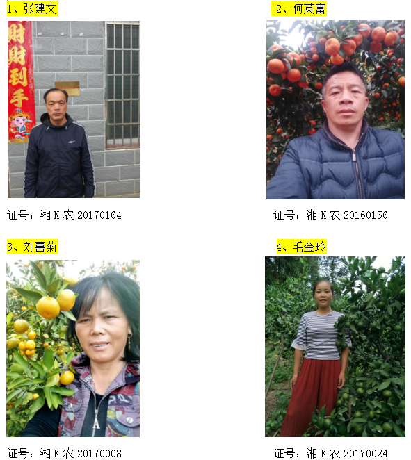 回龙圩管理区柑橘经纪人名录公示