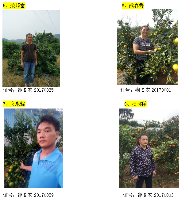 回龙圩管理区柑橘经纪人名录公示