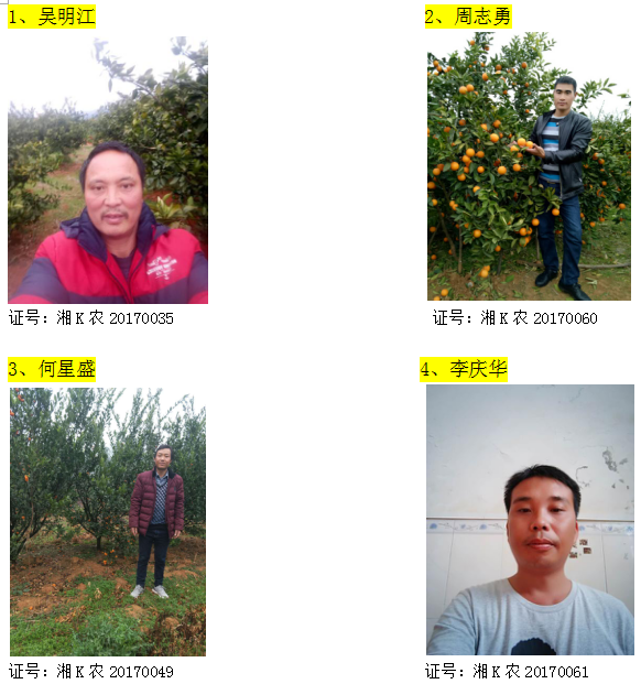 回龙圩管理区柑橘经纪人名录公示