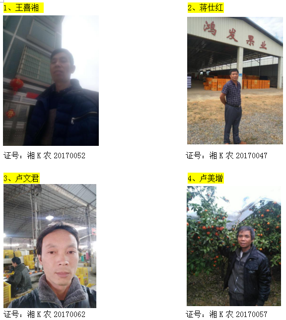 回龙圩管理区柑橘经纪人名录公示