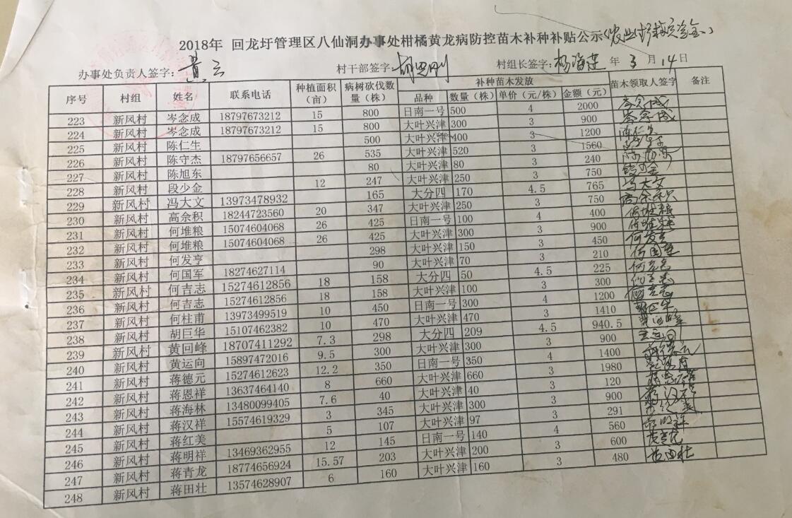 八仙洞办事处关于2018年柑橘苗木发放的公示