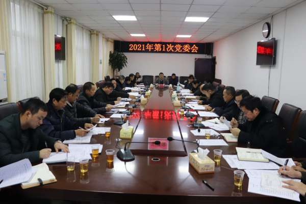 回龙圩管理区召开2021年第1次党委会
