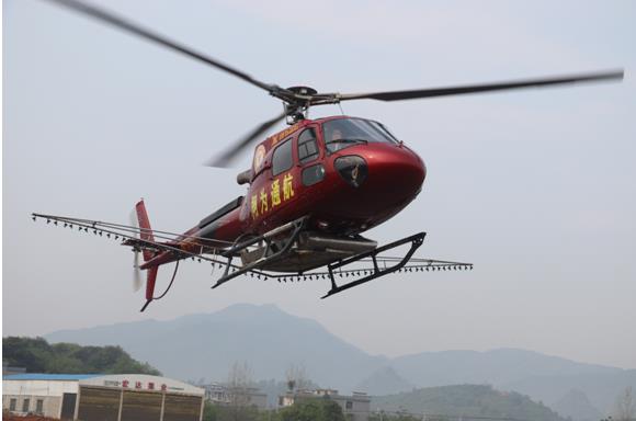 永州回龙圩：巧用“三板斧”防治黄龙病