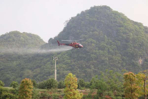 湖南省柑橘黄龙病统防统治现场观摩会在回龙圩召开