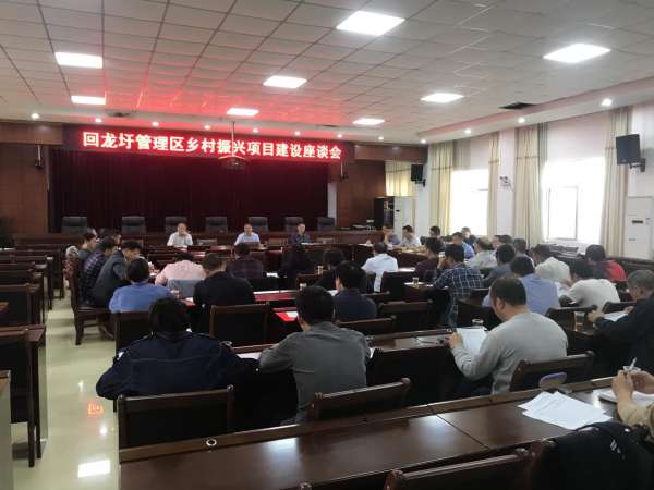 回龙圩:召开乡村振兴项目建设座谈会