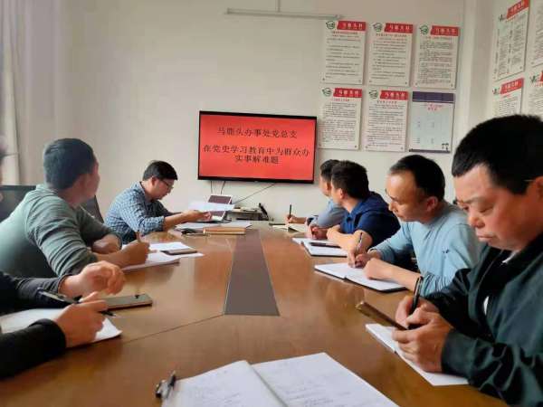 马鹿头办事处党总支开展“学史明理”专题研讨暨书记上党课