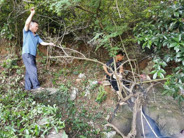 我为群众办实事｜回龙圩民政局：推进乡村振兴 共建美丽家园