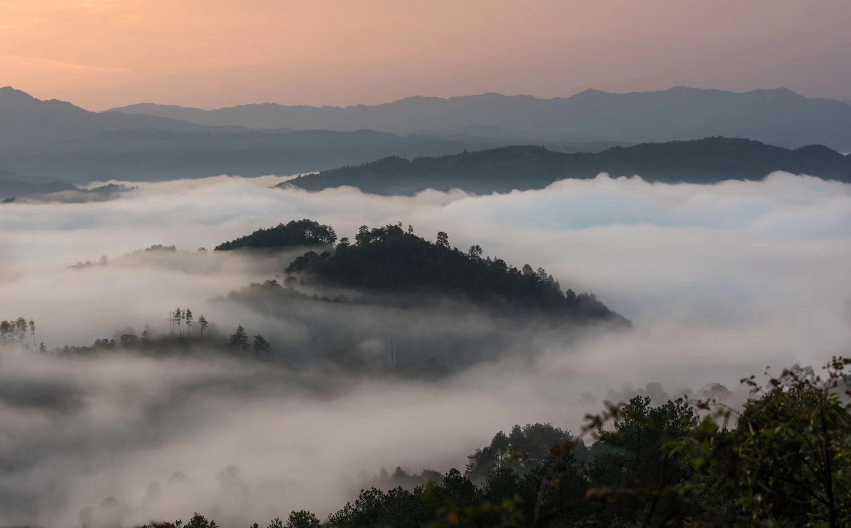 高椅竹林界