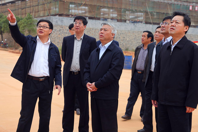 县委书记罗建华(左二)等陪同副省长盛茂林(左三)在江华稀土公司现场