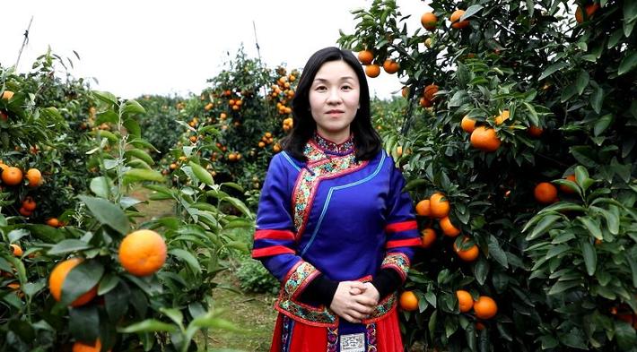 副县长黎氢为沃柑代言