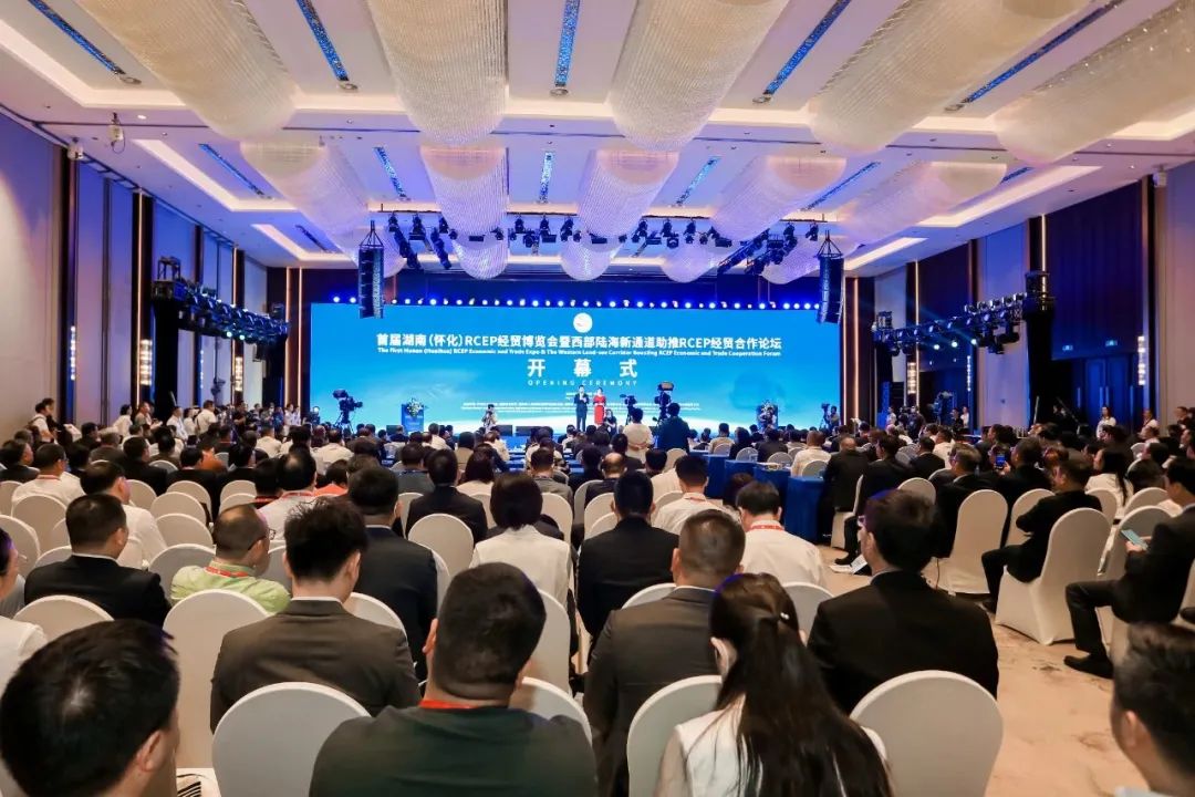 HCIG appears at 2023 Hunan (Huaihua) RCEP Economic and Trade Expo