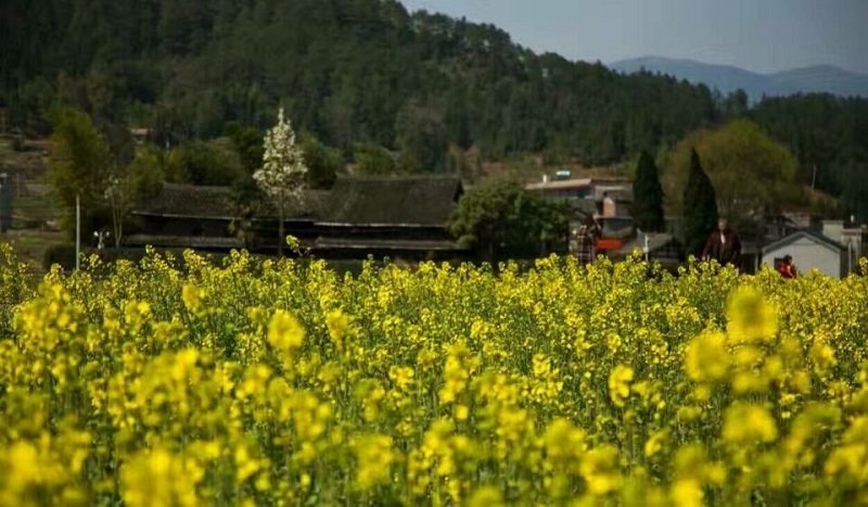 20170227102036.jpg QQ图片20170227090217.jpg