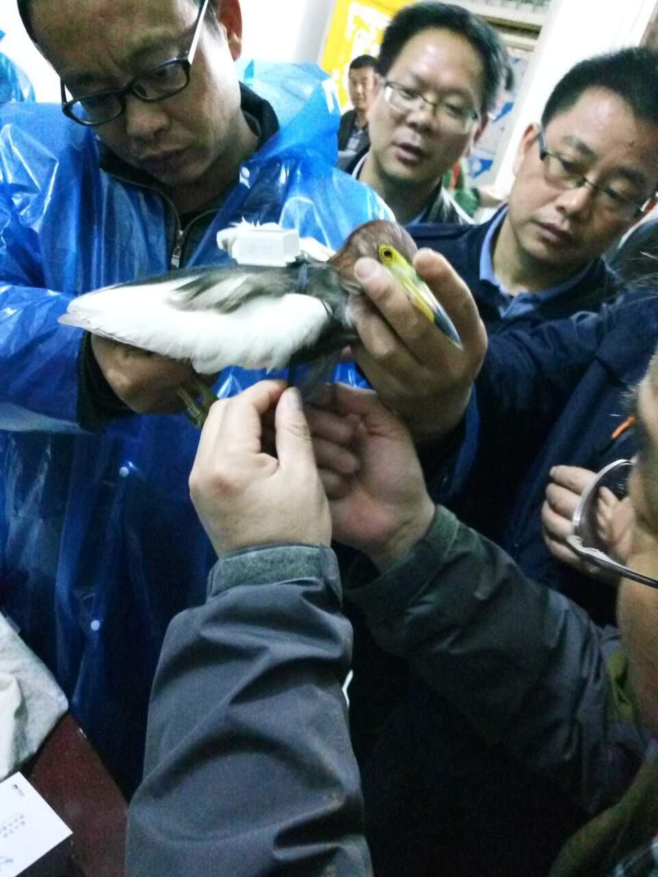 QQ图片20170421162732.jpg