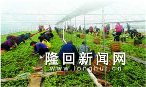 QQ图片20170803085754_副本.jpg