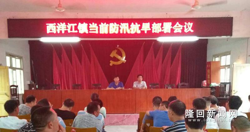 西洋江镇部署当前防汛抗旱工作.jpg