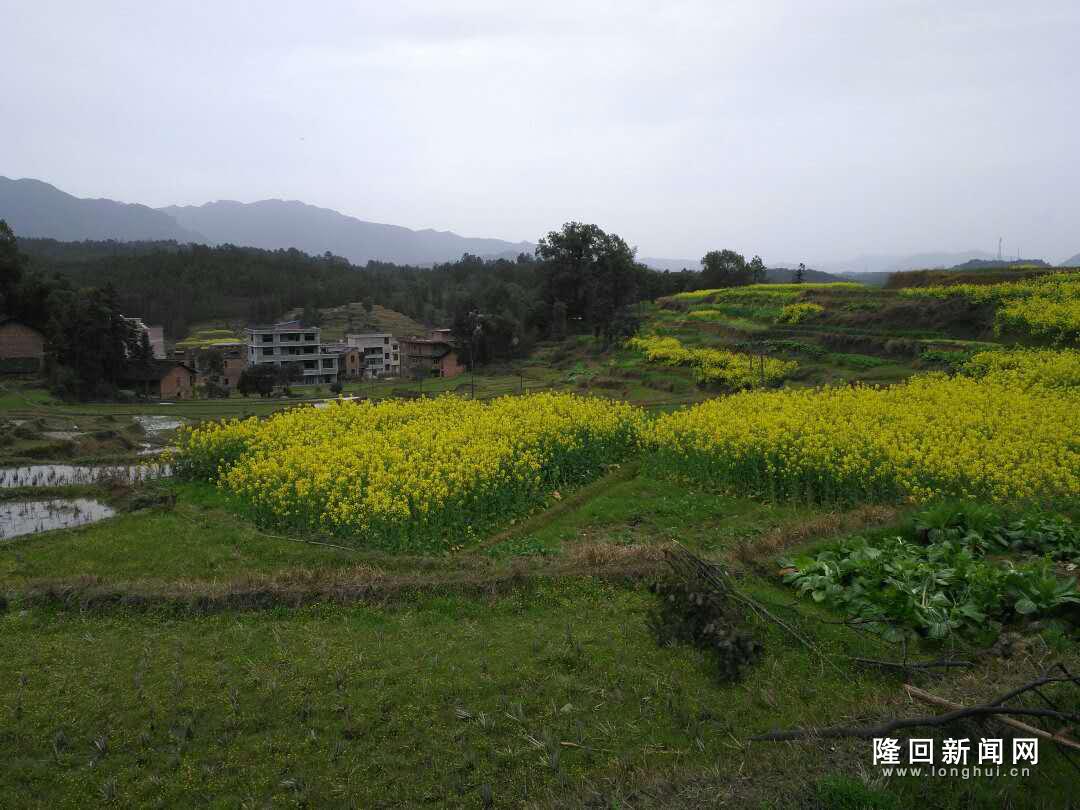 微信图片_20170822090231.jpg