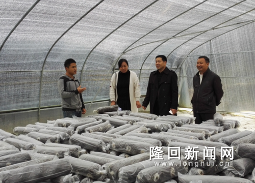 图为肖时健到岩口调研科协工作.png