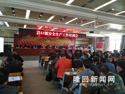 岩口镇安全生产工作培训会.jpg