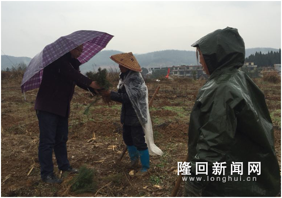 QQ图片20180224105837.png