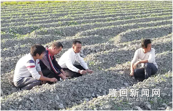 王化永6.png